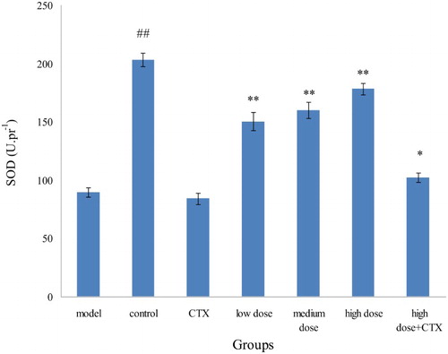 Figure 6. Effect of ABA on SOD in liver tissue of H22 liver tumor mice ( ± sd, n = 10). Note: acylated blueberry anthocyanin (ABA), superoxide dismutase (SOD), compared with model group, #P < .05, # # P < .01; compared with CTX group, *P < .05, **P < .01.