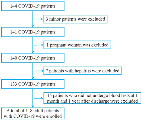 Figure 1 Included and excluded COVID-19 patients.