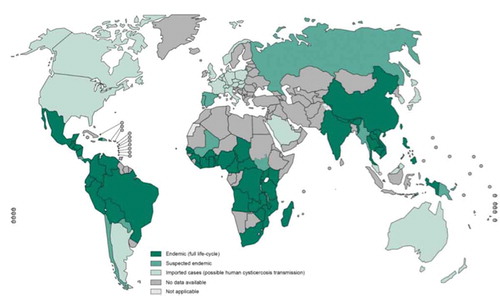 Figure 3. Countries and areas at risk for cysticercosis.Reprinted from: World Health Organization. Assembling a Framework for Intensified Control of Taeniasis and Neurocysicercosis caused by Taenia solium, 2013. Available at: http://apps.who.int/iris/bitstream/10665/153237/1/9789241508452_eng.pdf?ua=1 [Last accessed 29 December 2015].