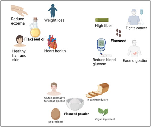 Figure 4. Various properties of flaxseed.