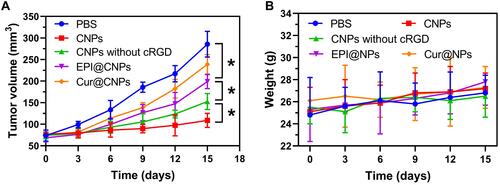 Figure 10 (A) Volume change of xenograft tumor in tumor-bearing mice treated with different NPs. (B) Weight change in mice from different treatment groups. * P < 0.05.