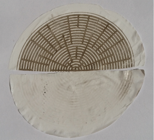 Figure 1. Picture of split filter after extraction in water (top) and methanol (bottom). Greater absorption visible on the water half is believed to be associated with insoluble particles remaining on the filter. Note the absence of such absorption on the methanol half. The radial pattern is imposed by the substrate supporting the filter.