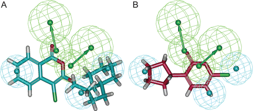 Figure 3.  Compound 1 (A) and compound 6 (B) in the training set mapped on “Hypo 1”. Green colour represents hydrogen bond acceptor (HBA) and cyan colour represents hydrophobic (HY) features.