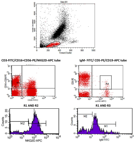 Figure 1 Gating strategy for B1a% and NKG2D+NK% and the detection of the NKG2D MFI. The figure illustrates the gating strategy for NKG2D+NK%, B1a%, and NKG2D MFI in the area under the M1 marker.