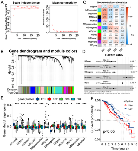 Figure 11 Characterization of the FRGs co-expression modules of LGG. (A). Scale-free fit index and mean connectivity for different soft-thresholding powers (β). (B). Dendrogram of all FRGs clustered based on the TOM matrix. (C). Relationship analysis between traits and modules. (D). Multivariate Cox regression analysis of principal modules. (E). Differential distribution of module eigengenes in LGG F-subtypes. (F). Prognosis analysis in yellow module with high and low mean. *P < 0.05, ** P < 0.01, *** P < 0.001.