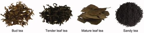 Figure 1. Four kinds of common hawk teas.