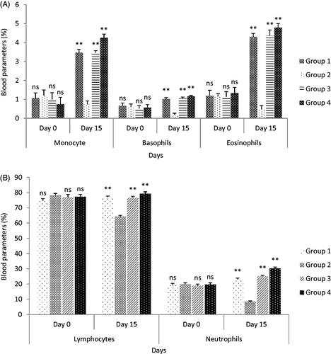 Figure 7. (A) Effect of standardized aqueous plant extract and cyclophosphamide on monocyte, basophils, and eosinophils; (B) effect of standardized aqueous plant extract and cyclophosphamide on lymphocyte and neutrophils. All values are expressed as mean ± SEM (n = 6). *** indicates p < 0.001 extremely significant, ** indicates p < 0.01 highly significant, * indicates p < 0.05 significant, and ns indicates p > 0.05 nonsignificant when compared with toxic control group, where group 1: normal; group 2: negative control receiving cyclophosphamide; group 3: treatment group receiving C. papaya leaf (dose 50 mg/kg); group 4: treatment group receiving C. papaya leaf (150 mg/kg).