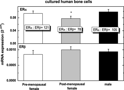Figure 4. The expression of estrogen receptors ERα and ERβ in pre-menopausal human osteoblasts (pre), in post-menopausal human osteoblasts (post) and human males (male).