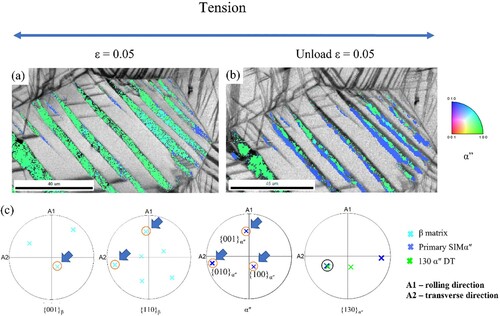 Figure 2. IPF (Inverse pole figure) of SIMα″ phase + IQ (image quality) maps of a grain with Orientation I taken from the same region at (a) strain ε = 0.05 (loading) and (b) 0.05 (unloading); (c) pole figures of β matrix and SIMα″.