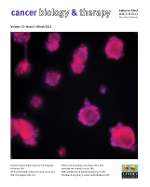 Cover image for Cancer Biology & Therapy, Volume 13, Issue 5, 2012