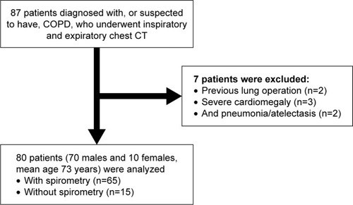 Figure 1 A flowchart for patient selection.