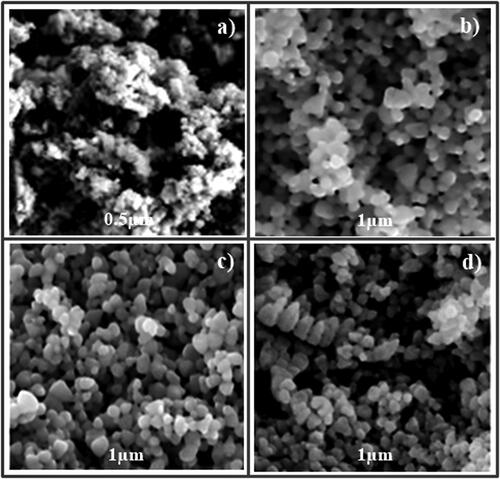 Figure 1. Scanning electron micrographs of synthesised nanoparticles: (a) 0.5 µm × 5000; (b) 0.5 µm × 10,000; (c) 1 µm × 5000; (d) 1 µm × 10,000.