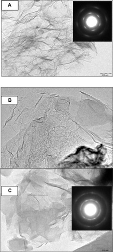 Figure 2 TEM images of GS (A), f-Gr (B), and f-Gr-AmB (C).