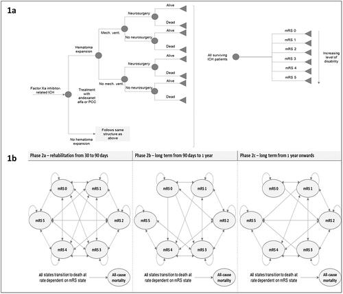 Figure 1. Model structure: (a) phase 1 – acute care from hospital admission to 30 days; (b) phase 2 – long-term care from 30 days to model time horizon. Abbreviations. ICH, intracranial hemorrhage; mech. vent., mechanical ventilation; mRS, modified Rankin score; PCC, prothrombin complex concentrate.