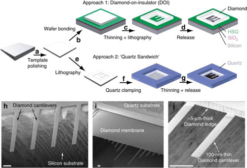 Figure 7. SCD cantilever fabricated by DOI method. (a)SCD plate with a thickness uniformity <1 μm over the entire plate. (b) In the DO method, SCD wafer bonded with SiO2/Si using HSQ. (c) Reactive ion etching and patterning of the cantilever with thickness 0.1–1 μm. (d) Release of the cantilevers through conventional backside etching. (e) In the “quartz sandwich” approach, cantilevers first patterned using optical lithography. (f) SCD plate clamped between two fused quartz slides. (g) Etching the exposed diamond plate to release the SCD cantilevers. (h) Scanning electron micrograph of finished DOI devices. (i,j) Scanning electron micrographs of finished ‘quartz sandwich’ devices. Scale bars are 20 μm [Citation100].