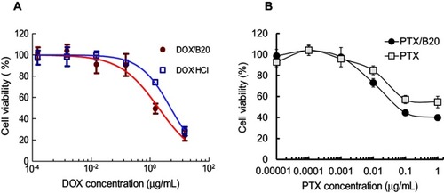 Figure 4 In vitro anticancer effects of (A) DOX/B20 and (B) PTX/B20 against KB cells.Abbreviations: DOX, doxorubicin; PTX, paclitaxel.