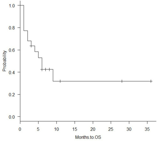 Figure 1 The one-year overall survival (OS) rate of 22 patients was 31.8%, and the median survival time was 6 months (95% CI, 1–9 months).