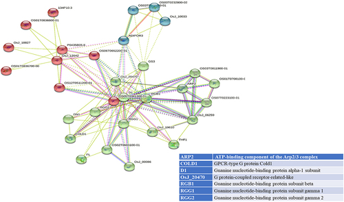 Figure 5b. Continued.