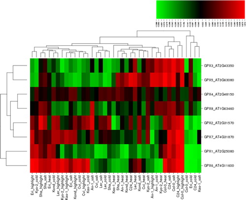 Figure 4. Heatmap showing the expression profiles of eight glutathione peroxidase (GPX) genes (GPX1-8) in 10 natural Arabidopsis ecotypes, An-1, Cvi, Col-0, C24, Eri, Kas-1, Kond, Kyo-2, Ler and Sha, under four different stress conditions of salinity (100 mmol/L NaCl), cold (10 °C), heat (38 °C) and high light (800 μmol photons m−2s−1). Green indicates the down-regulated genes; red shows the up-regulated genes under given stresses. Conditions (up) and genes (left) with similar expression profiles were hierarchically clustered using Pearson correlation.