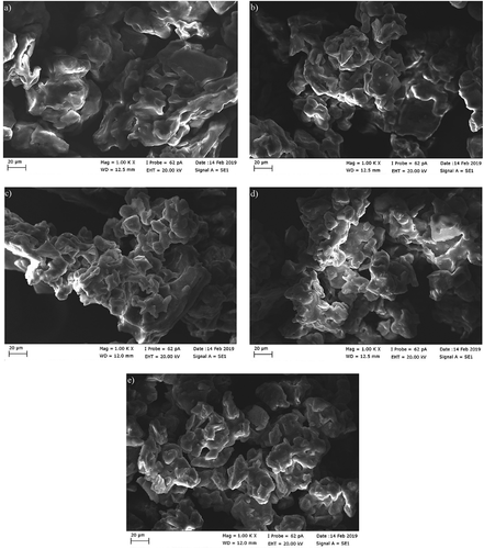 Figure 2. SEM images of freeze-dried European cranberrybush powders (A: >500 µm, B: 425–500 µm, C: 200–425 µm, D: 100–200 µm and E: 63–100 µm)