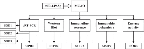 Figure 1. Frame diagram of the main contents of this study