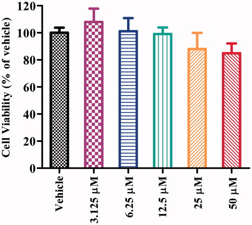 Figure 5. Cell viability of SH-SY5Y cells exposed to compound 16b at different concentrations (range from 3.125 − 50 μM) for 24 h. Vehicle treater cells were used as control. The results were expressed as the percentage of viable cells observed after treatment with compound 16b respect to vehicle-treated cells (100%) and shown as the mean ± SD from at least three separate experiments.