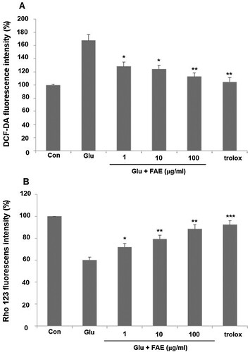 Figure 3. (A) Effect of fermented A. arborescens extract (FAE: 1, 10 and 100 μg/ml) on reactive oxygen species (ROS) production against glutamate induced neurotoxicity in HT22 cell. (B) Effect of fermented A. arborescens extract (FAE: 1, 10 and 100 μg/ml) on glutamate-induced disruption of mitochondrial membrane potential in HT22 cell. Data are means ± S.D. *p < 0.05, **p < 0.01, and ***p < 0.001 versus the glutamate-treated group.