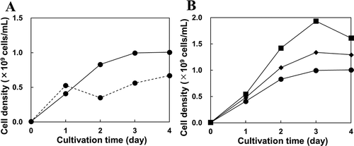 Figure 1. Oligotrophic growth of N9T-4 in the submerged cultivation. (a) the cell growth of N9T-4 grown on 6 × 6 cm-square sponges with a height of 1.0 cm (solid line) and 2.5 cm (dotted line). The sponges were soaked with 30 mL of the BM liquid medium inoculated with N9T-4 cells (OD660 = 0.002) in a 500-mL beaker and cultivated at 30°C under static conditions. (b) 6 × 6 × 1.0 cm-rectangular parallelepiped sponges were soaked with 12 mL (square symbols), 20 mL (diamond symbols), and 30 mL (circle symbols) of the BM liquid medium inoculated with N9T-4 cells (OD660 = 0.002) and cultivated at 30°C under static conditions. For each experiment, 4 independent media were inoculated with different cell suspensions, and the sponge was withdrawn from one of the media every day, squeezed, and OD660 of the cell suspension was measured.