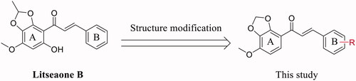 Figure 2. Rational design of litseaone B analogues.