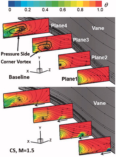 Figure 12. Flow structure and the temperature distribution near the vane pressure side.