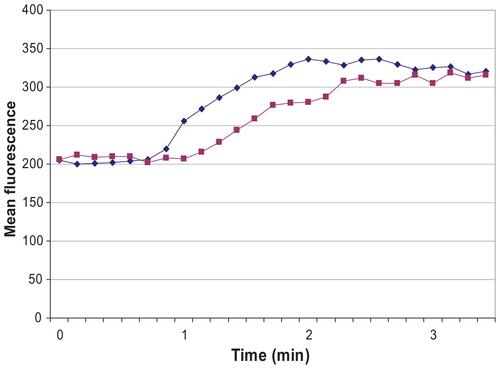 Figure S2 2.4G2 scFv inhibits intracellular rise of free Ca2+ when FcγRIIb and BCR are co-crosslinked.Notes: Cells were loaded with 5 mM fluo-3/AM indicator and 30 mg/mL Pluronic F-127 for 30 min at 37°C in 1 mL medium. The cells were diluted 10 times and incubated for another 30 min at 37°C, then washed, resuspended and labeled with 7-AAD to exclude the dead cells. All studies were carried out in RPMI 1640 culture medium. Spleen B-cells were treated with: 0.2 μg protein LA + 0.2 μg avidin for BCR crosslinking (blue line), and 10 μg 2.4G2scFv-b + 0.2 μg protein LA + 0.2 μg avidin for BCR-FcγRIIb co-crosslinking (purple line). Protein LA is a hybrid protein recognizing Ig kappa chain, and scFv (Eur J Biochem. December 1, 1998;258(2):890–896.). Kinetics of the change of mean fluorescence are shown, as calculated by Lysys II software (Becton Dickinson, San Jose, CA).