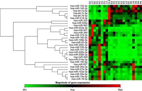 Figure S1 Cluster analysis of endometriosis, ovarian cancer and normal tissues (statistically significant miRNAs were selected).Abbreviations: E, endometriosis tissue; N, normal tissue; O, ovarian cancer tissue.