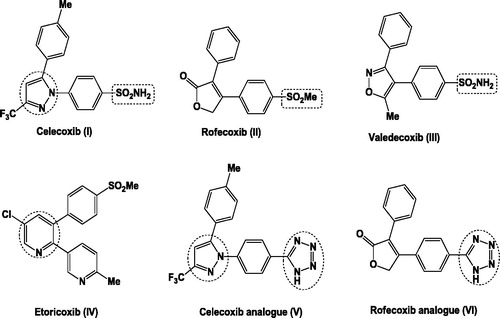 Figure 1. General structure of some known selective COX-2 inhibitors.