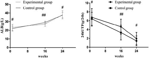Figure 2. Albumin and 24-h urinary protein levels in the two groups. Before treatment, there was no significant difference in albumin or 24-h urinary protein levels between the two groups (#p > .05); after 16 weeks of treatment, there were significant differences in albumin or 24-h urinary protein levels between the two groups (##p < .05). 24-h UTP: 24-h urinary protein; ALB: albumin.