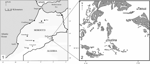 FIGURE 1 Locality maps. 1, Map of Morocco and surrounding area (modified from Chatterton et al., 2006; McKellar and Chatterton, 2009). 2, Ordovician (shaded regions) locality map for trilobite/trace locality (marked with χ) within the Tafilalt basin (modified from Fetah et al., 1986).