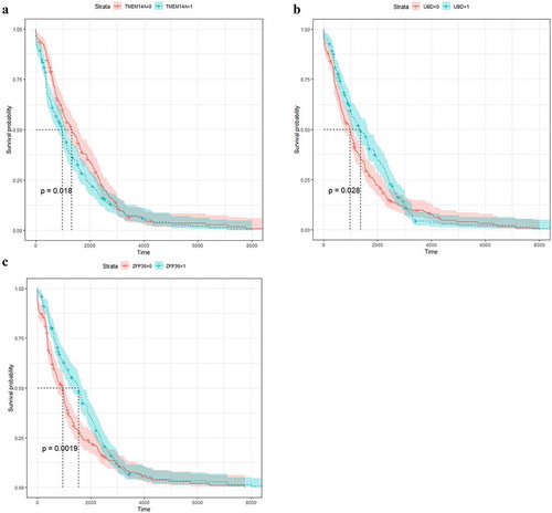 Figure 5. Kaplan-Meier survival analysis stratified according to low or high expression of TMEM14A (a), UBD (b), and ZFP36 (c) in breast cancer