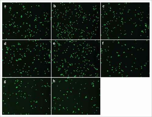 Figure 2. (Continued)