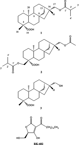 Figure 1 Structures of isolated compounds 1 – 3 and RK-682.