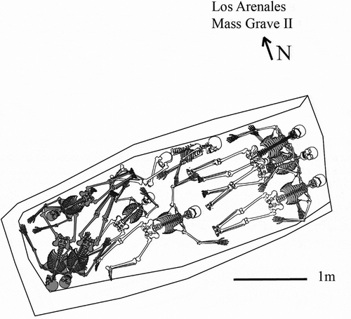 Figure 4. Plan of Mass Grave II of ‘Los Arenales’. The grey colour corresponds with the bodies of women