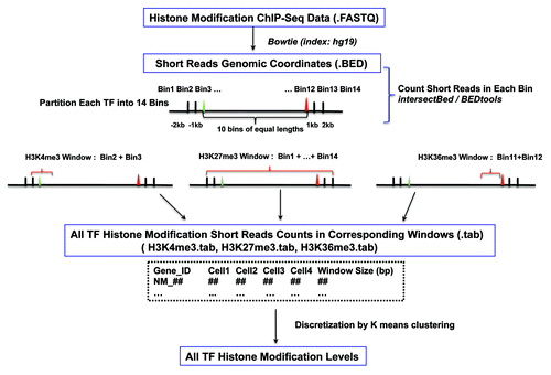 Figure 1. Schematic representation of the analysis pipeline.