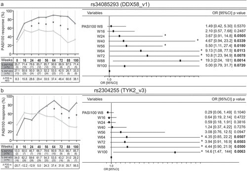 Figure 3. Rs34085293 and rs2304255 SNPs associate with an optimal clinical response to secukinumab treatment. The presence of rs34085293 (DDX58_v1) and rs2304255 (TYK2_v3) variants determined an optimal response to secukinumab treatment at several time-points of observation. The upper and lower graphs show respectively the percentage and the number (n Pz) of DDX58_v1-positive (SNP-POS, dark gray line) and -negative (SNP-POS, gray line) subjects (A) or TYK2_v3-positive (SNP-POS, dark gray line) and -negative (SNP-POS, gray line) (B) patients achieving 100% reduction in the PASI score (PASI100). The relative univariate logistic regression analyses are summarized in forest plots in the right panels, where the x-axis shows odd ratio (OR), squares indicate OR estimates for each observation point and the error bars represent 95% confidence interval (CI). *p value < 0.05 were considered significant and indicated in font bold