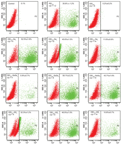 Figure S4 The percentage of transfected cell for the complexes of pEGFP with OEI800-SeSex, OEI800-Sex, OEI800-SSx, PEI25k and OEI800 was quantified by flow cytometry analysis in B16F10 cell lines at 48 hours.Note: n = 3.Abbreviations: pEGFP, enhanced green fluorescent protein encoding plasmid; PEI, polyethylenimine; OEI, oligoethylenimine.