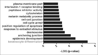 Figure 4. Gene ontology of upregulated genes in RhoA-ko keratinocytes in vitro Significantly enriched gene ontology categories of upregulated genes in RhoA-ko keratinocytes in vitro according to EASE Score, a modified Fisher Exact P-Value (p < 0.01).