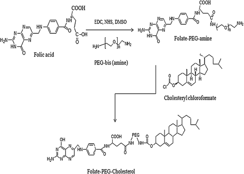 Figure 1. Scheme of synthesis of folate-PEG-cholesterol conjugate.