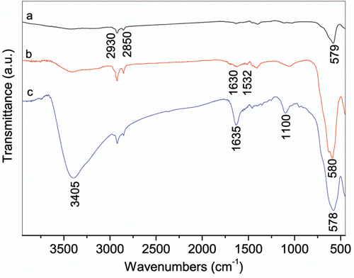 Figure 6. FTIR spectra of rod-like (a), organic-(b) and water-soluble (c) nanoparticles.