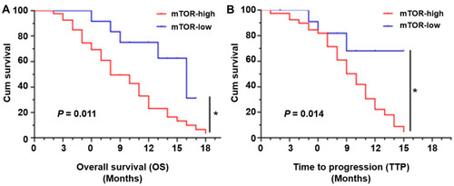 Figure 1 High level of endogenous mTOR is associated with the poor prognosis of advanced HCC patients received sorafenib treatment. The expression of mTOR in clinical specimens from advanced HCC patients received sorafenib treatment was examined by qPCR. Patients were divided into two groups (the mTOR-high group and the mTOR-low group) based on the median level of mTOR’s expression. The OS (overall survival) or TTP (time to progress) was examined to reveal the prognosis of patients. *P<0.05.
