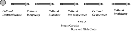 FIGURE 2 Selected Organizations Along the Cultural Competence Continuum (Adapted From CitationCross et al., 1989)