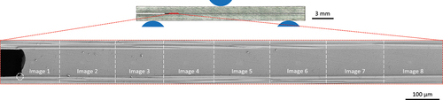 Figure 8. Side view of an ENF sample (top) with a detailed view of the adhesive layer and the relevant area for image evaluation (bottom). The lower image shows a high-resolution image composition consisting of 8 SEM cross section images with a total of 14,051 x 1377 pixels.