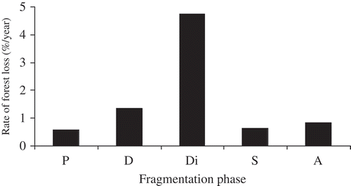 Figure 4. Magnitude of forest loss (%/year) in each fragmentation phase. P: perforation, D: dissection, Di: dissipation, S: shrinkage, A: attrition.