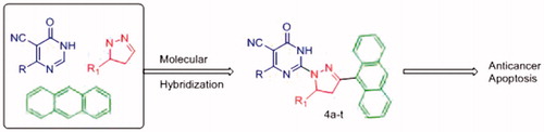 Figure 4. Design strategy of new pyrimidine hybrid compounds as anticancer agent.